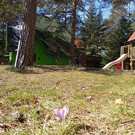 Апартаменты Petra Kuća Apartmani Divčibare Петра Кућа Апартмани Дивчибаре *