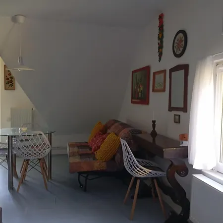 Petra Kuca Apartmani Studio Divcibare Петра Кућа Апартмани Студио Дивчибаре *