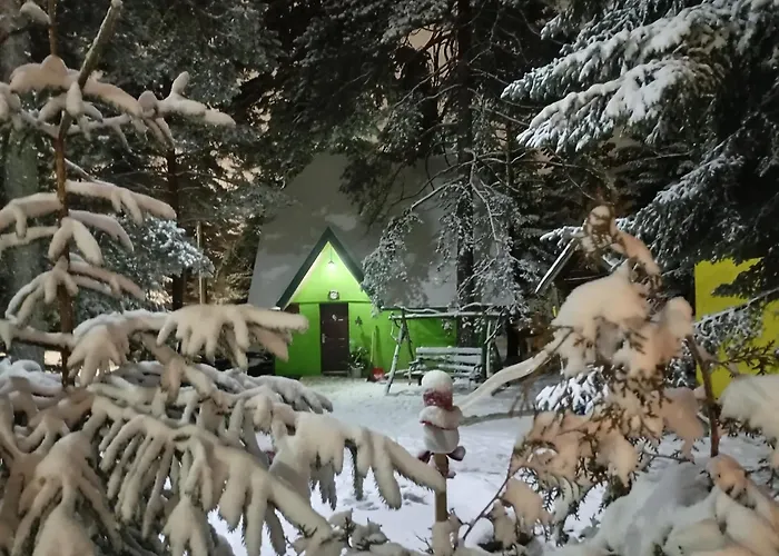 Petra Kuca Apartmani Studio Divcibare Петра Кућа Апартмани Студио Дивчибаре