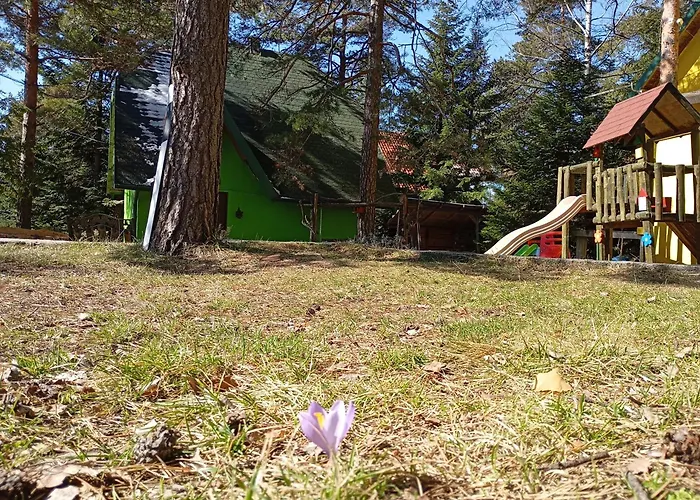 Апартаменты Petra Kuća Apartmani Divčibare Петра Кућа Апартмани Дивчибаре *